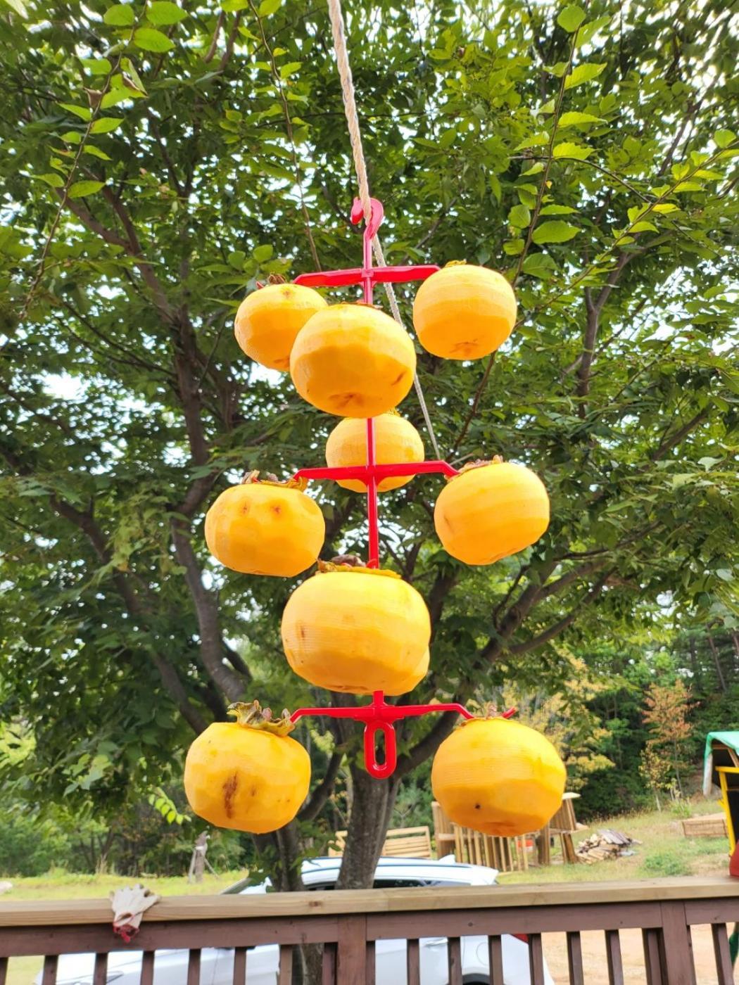 Forest Healing Park Cheongyu جانجنيونج المظهر الخارجي الصورة