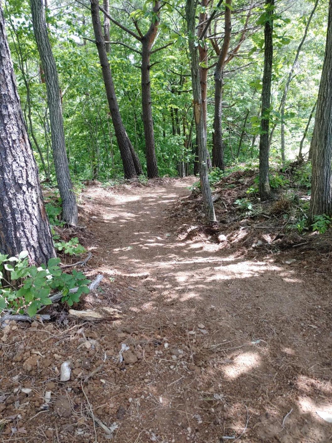 Forest Healing Park Cheongyu جانجنيونج المظهر الخارجي الصورة