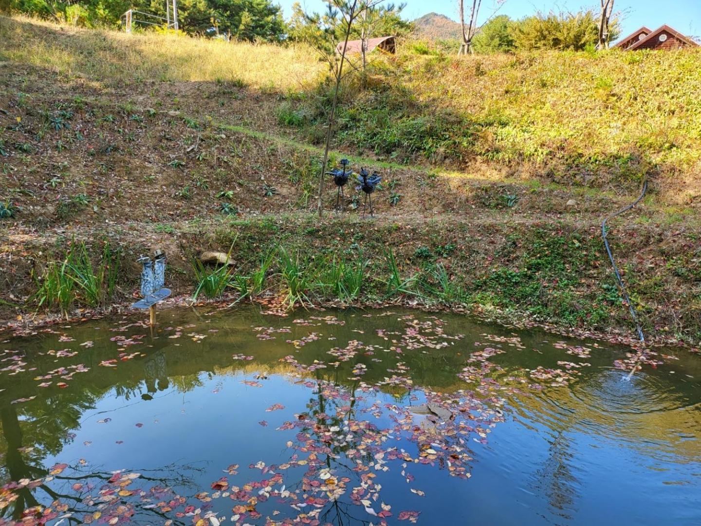 Forest Healing Park Cheongyu جانجنيونج المظهر الخارجي الصورة